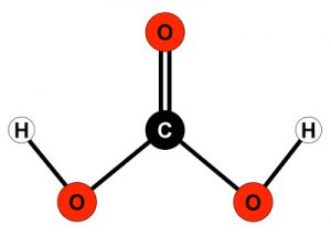 Molecula Acido Carbonico
