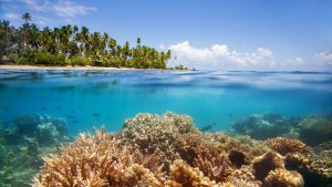 002800-11-coral-reef-view-from-water