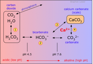 Carbonate