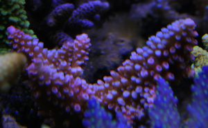 IMG_6755