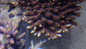 IMG_7429