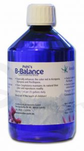 KZ-Pohls-B-Balance-1000_9